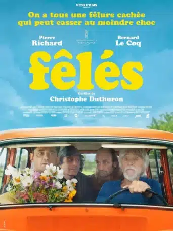 Affiche du film Fêlés