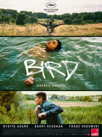 Affiche du film Bird