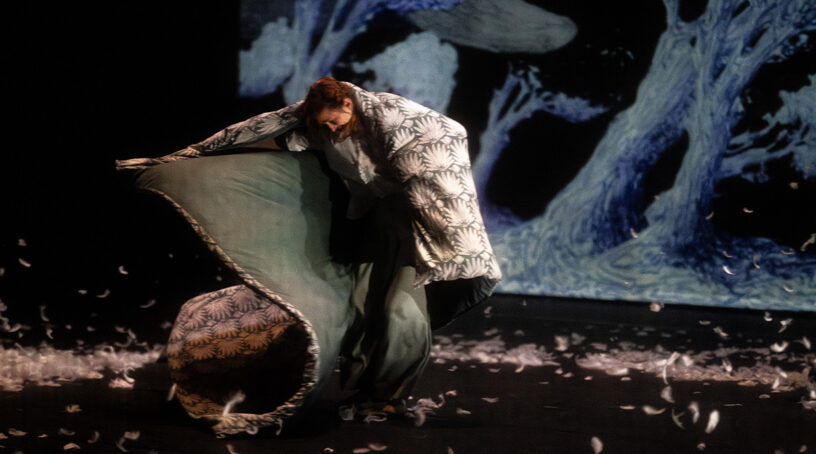 Le Murmure des Songes – Cie Accrorap – Kader Attou – Spectacle de danse Jeune Public - Théâtre Romain Rolland, Villejuif - janvier 2026