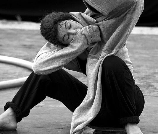Week-end des arts de rue 25 - Mue © Dominique Jouxtel
