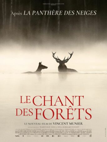 Affiche du film Le Chant des forêts