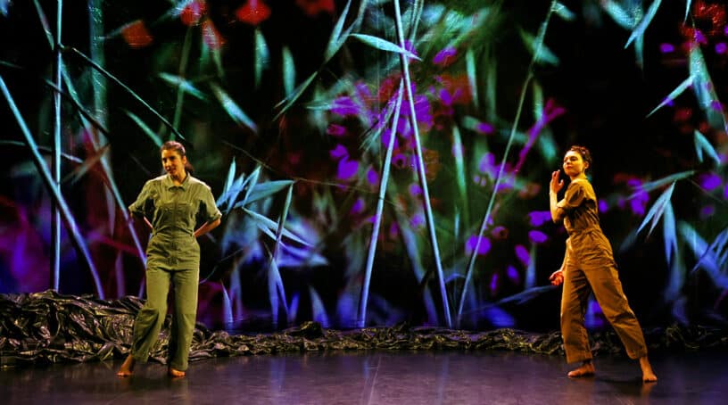 Le Chemin du wombat au nez poilu – Joanne Leighton – WLDN – Danse – Jeune Public -Théâtre Romain Rolland, Villejuif – décembre 2026