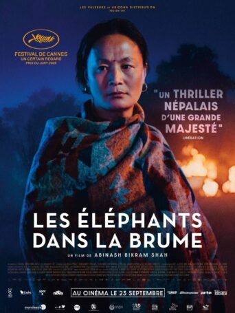 Affiche du film Les Éléphants dans la brume